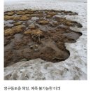 10월21일🍁 뉴스브리핑🍁멋진 단풍들 🍁 이미지