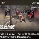 먹자골목 내(창전동) 이미지
