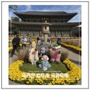 속리산 법주사 | [보은 가볼만한곳] 속리산 법주사 방문 후기 — 국화축제