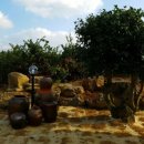 오색귤민박체험농장 이미지