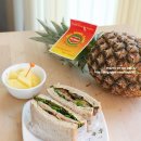 골드파인 이미지