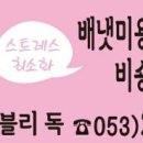 러블리 독 이미지