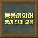 [영어 동음이의어] 발음이 같은 영어단어