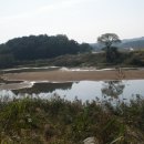 왕동천 Daum카페
