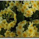 나마스떼 이미지