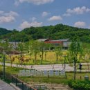 반려동물놀이터 이미지