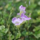 기화농장 이미지