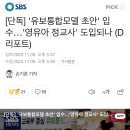 [단독] '유보통합모델 초안' 입수…'영유아 정교사' 도입되나 (D리포트) 이미지