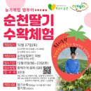 주암농장 | 순천 딸기 수확체험 푸르디농장 조성수 청년농부와 함께 농장체험 해요!