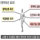 체온1업다이어트