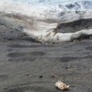 가평군 조종도서관 이미지