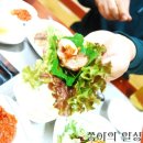 조은 꼬기 이미지