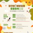 강서구-10 이미지