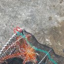 문어통발 이미지