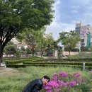 새서울숯불구이 네이버블로그