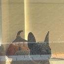 루이비숀 네이버블로그