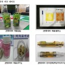 대마기획 이미지