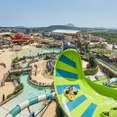 (주)신화안전 머니투데이