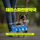 테라스파란문약국 이미지