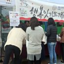 사랑뜨개 세계타임즈
