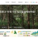 초롱이둥지마을 이미지