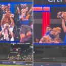 MLB 경기장 '심바 캠'에 등장한 강아지들 이미지