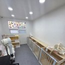 미미애견 이미지