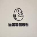 늘봄동물병원 이미지
