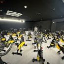 인더스피닝