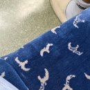 없   음 | [부산] 부락페 가려고 부산 여행 가는 사람이 있다? (부락내용별로없음주의)