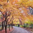 금강(부산) 이미지