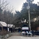 청춘 | 글램핑 추천 태안 안면도 청춘캠프 다녀온 후기 🪵🌴🌳