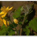 도비산 등산로 이미지