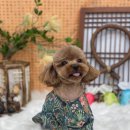 살롱드하츠 이미지
