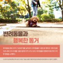 감동의집 이미지