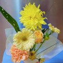 대붕한의원 이미지