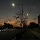 엘에이치몰 이미지