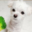 대공원나들길 이미지