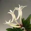 두엽농장 이미지