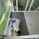 호텔아이엠 이미지