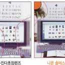 솔 피시 이미지