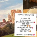 가우커피