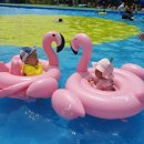 어린이회관 수영장 이미지