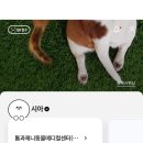 톰과 제니 동물메디컬센터 이미지