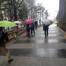 넘버원삼육약국 | (둘레길 사진 후기 - 5) 답십리 고미술상가, 배봉산 둘레길, 배봉산 자락길