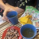 행복정비공장 | [여행후기] 나트랑 3박4일 여행 후기ㅣ일정 추천ㅣ투어 후기ㅣ맛집 추천