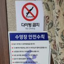 전주푸른솔펜션 | 전주에서 인기좋은 풀빌라펜션, 전주푸른솔 펜션 방문기(feat.지인펜션)