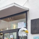 동백농산물 | 12월 제주 여행 “동백 포레스트” 동백꽃 시기 내돈내산 솔직후기