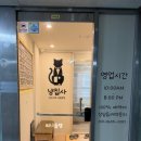 고양이미용&호텔 냥집사 이미지