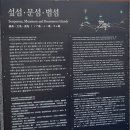 소남머리 이미지